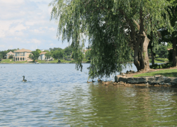 Maintenance & Lake Management