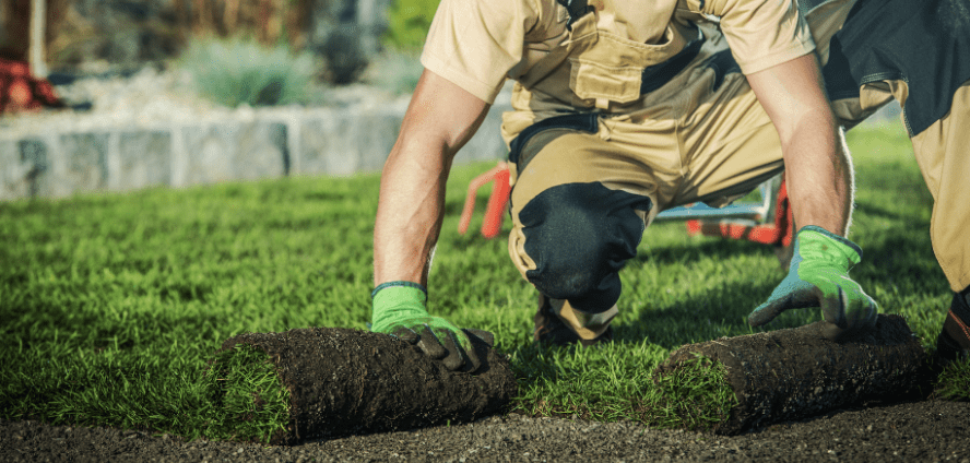 Landscaping and Sidewalks