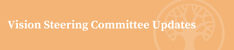 Vision Steering Committee Updates