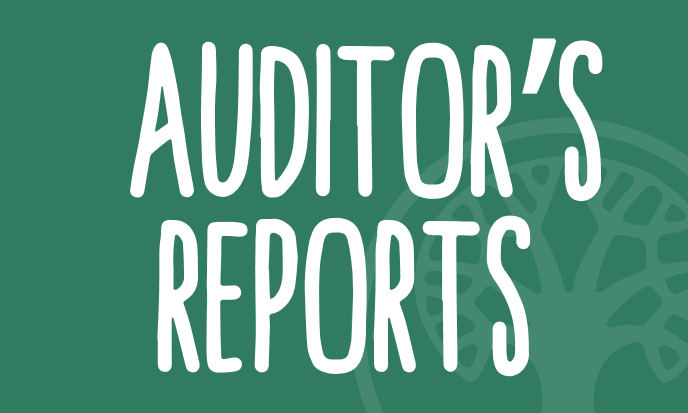 Auditor's Reports Auditor's Reports