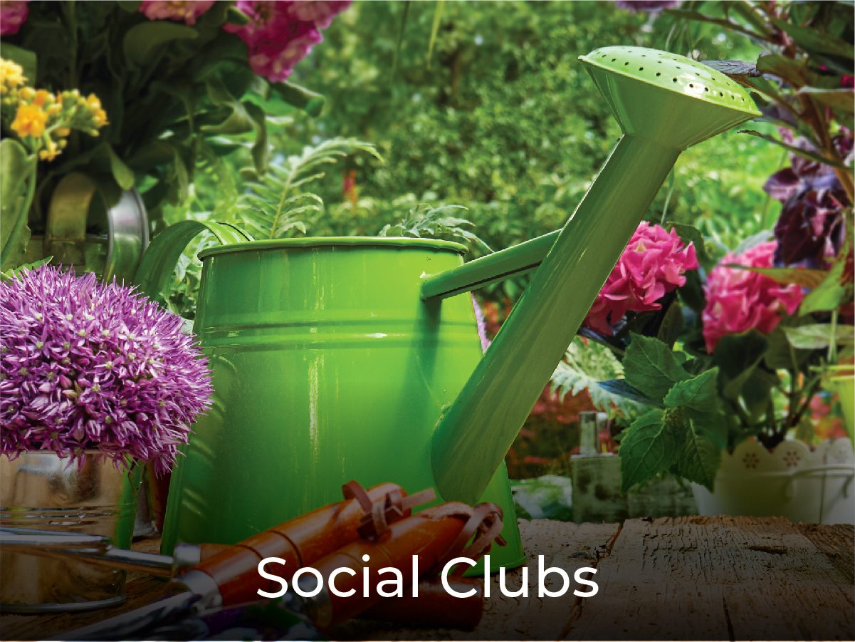 Social Clubs